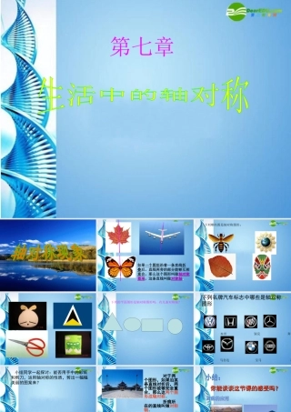七年级数学下册 7.1(轴对称的现象)课件 北师大版 课件