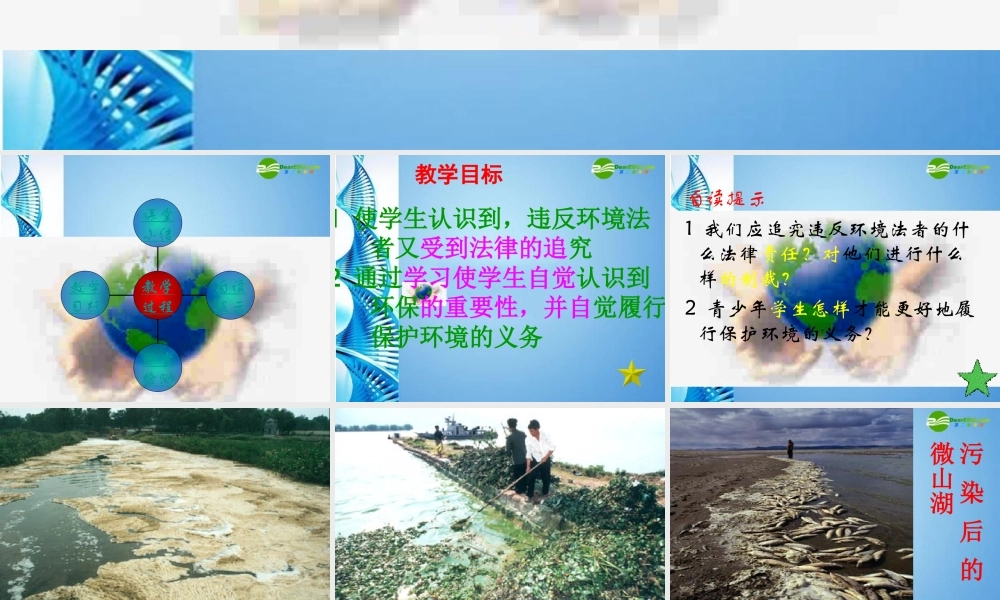 八年级政治下册 第十三课 关爱大自然 保护大自然 依法保护人类共有的家园说课课件 鲁教版 课件