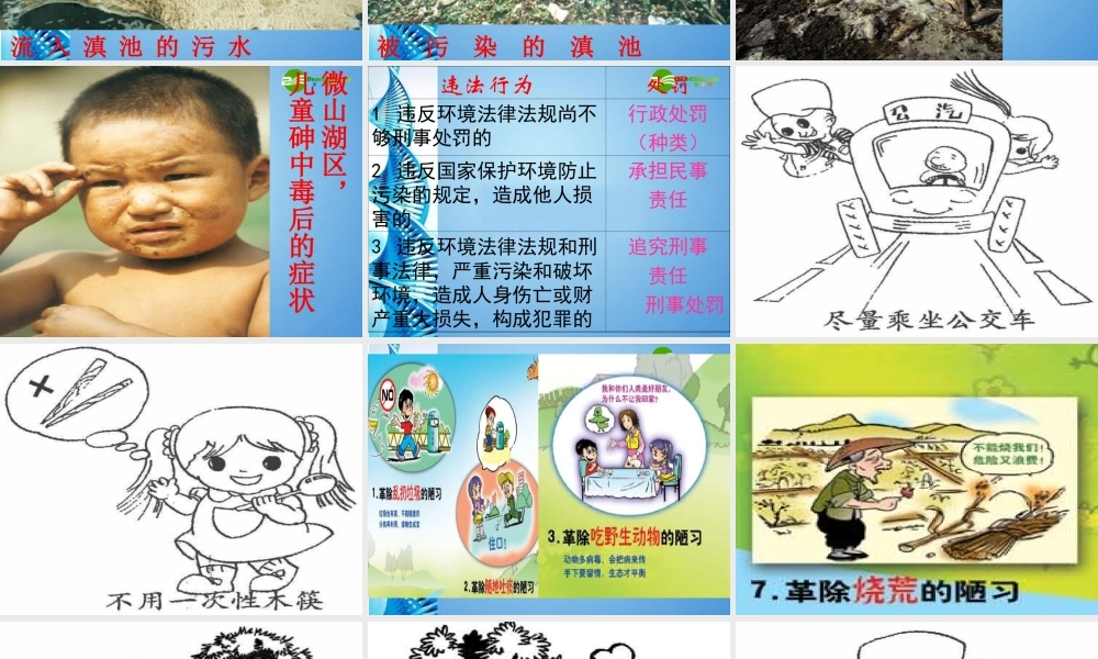 八年级政治下册 第十三课 关爱大自然 保护大自然 依法保护人类共有的家园说课课件 鲁教版 课件