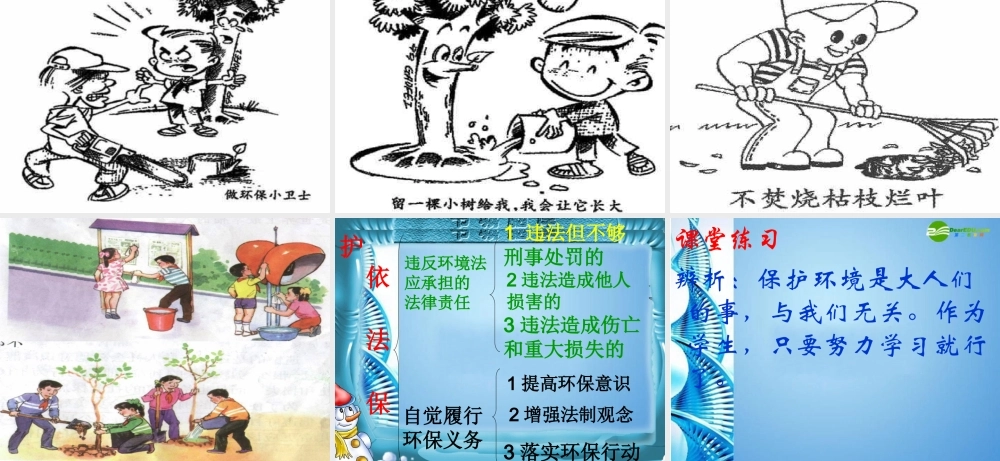 八年级政治下册 第十三课 关爱大自然 保护大自然 依法保护人类共有的家园说课课件 鲁教版 课件