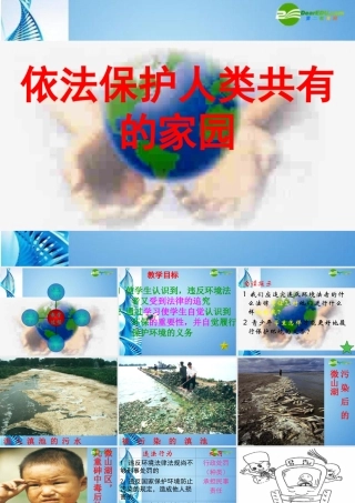 八年级政治下册 第十三课 关爱大自然 保护大自然 依法保护人类共有的家园说课课件 鲁教版 课件