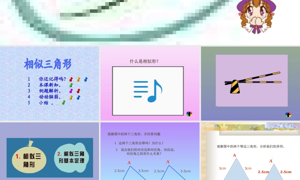 八年级数学相似三角形课件2鲁教版 课件