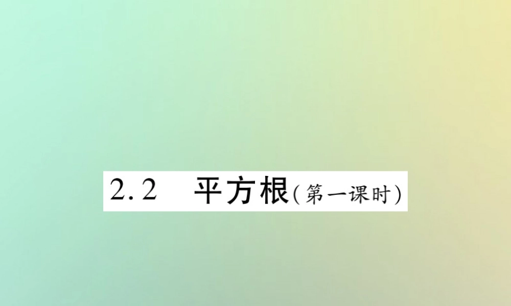 八年级数学上册 第二章 实数 2.2 平方根(第1课时)习题课件 (新版)北师大版 课件