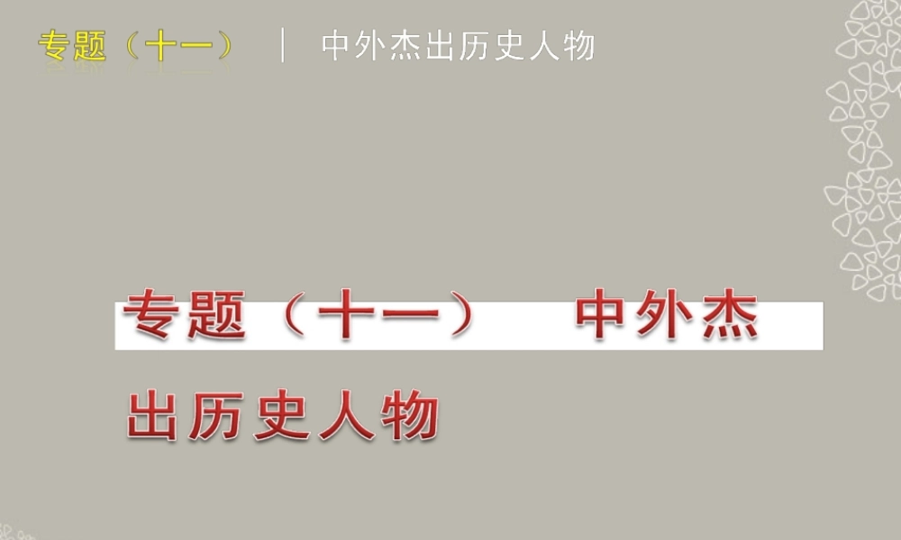 中考历史一轮专题复习 中外杰出历史人物课件