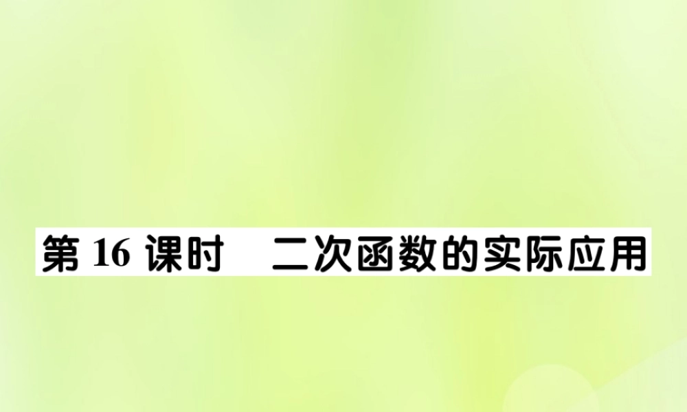 中考数学总复习 第一部分 考点梳理 第三章 函数及其图象 第16课时 二次函数的实际应用课件