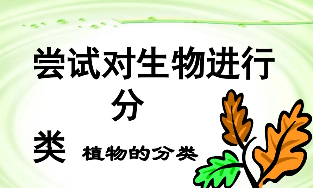 尝试对生物进行分类八年级生物上册第六单元第一章第一节 课件