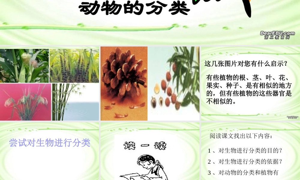 尝试对生物进行分类八年级生物上册第六单元第一章第一节 课件