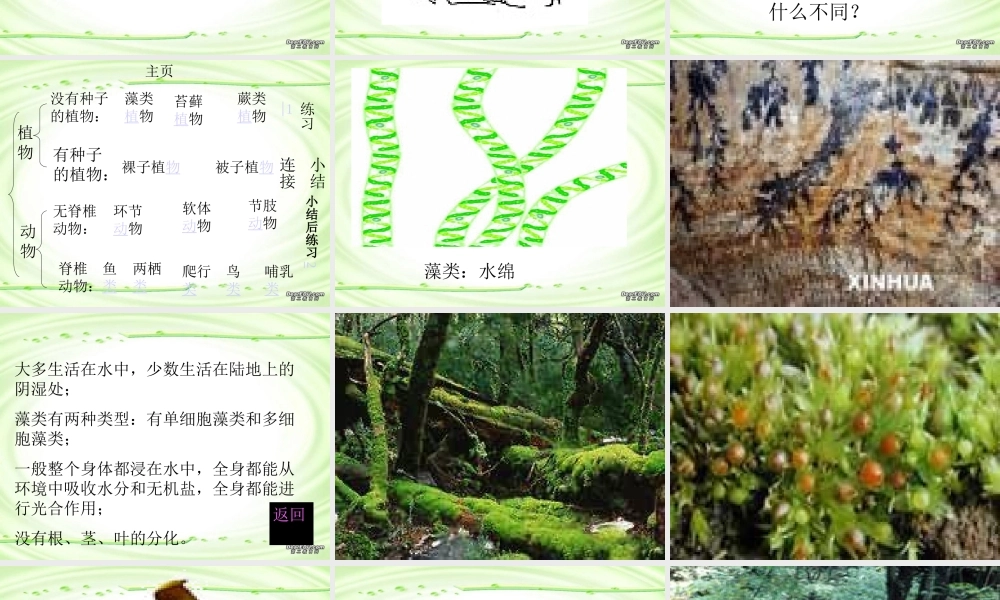 尝试对生物进行分类八年级生物上册第六单元第一章第一节 课件