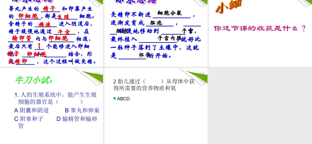 七年级生物下册(人的生殖)课件 人教新课标版 课件