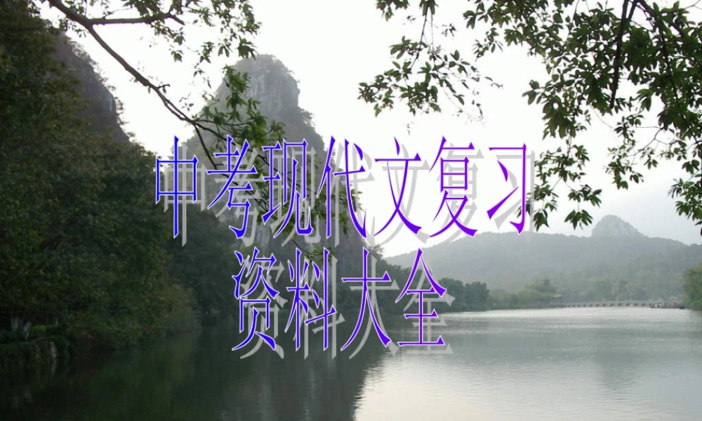 九年级语文中考现代文复习资料大全课件