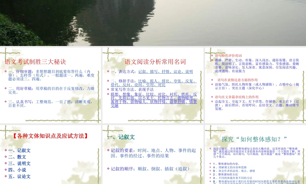 九年级语文中考现代文复习资料大全课件