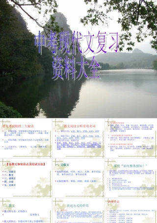 九年级语文中考现代文复习资料大全课件