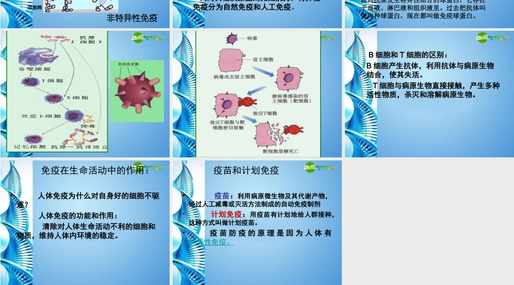 八年级生物下册 人体的免疫防线课件 苏科版 课件