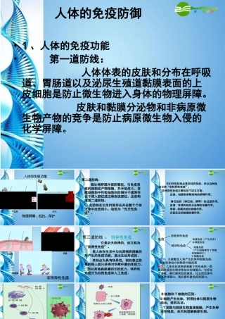 八年级生物下册 人体的免疫防线课件 苏科版 课件