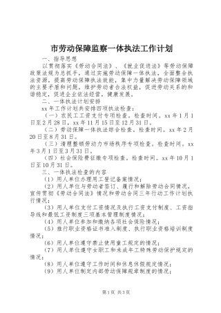 市劳动保障监察一体执法工作计划