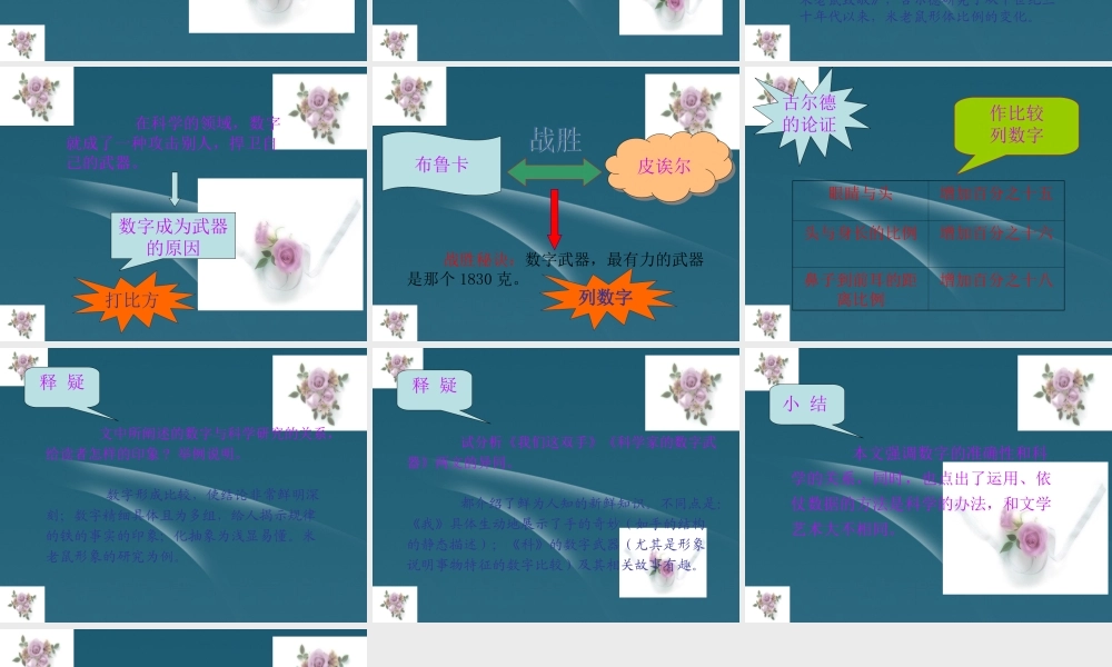 八年级语文下册(科学家的数字武器)课件 北师大版 课件