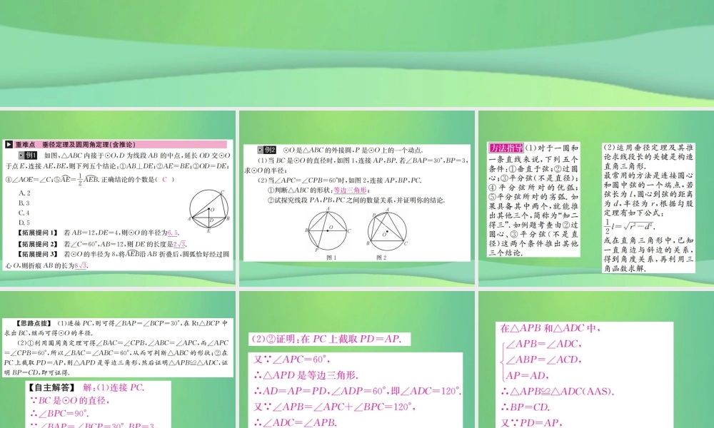 中考数学复习 第六单元 圆 第22讲 圆的基本性质课件