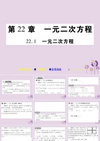 九年级数学上册 第22章 一元二次方程 221 一元二次方程习题课件 (新版)华东师大版 课件