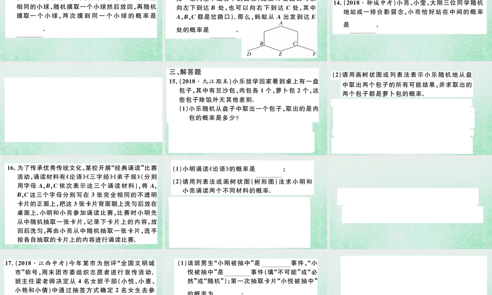 九年级数学下册 九上 复习专项训练三 概率的进一步认识习题讲评课件 (新版)北师大版 课件