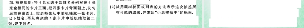 九年级数学下册 九上 复习专项训练三 概率的进一步认识习题讲评课件 (新版)北师大版 课件