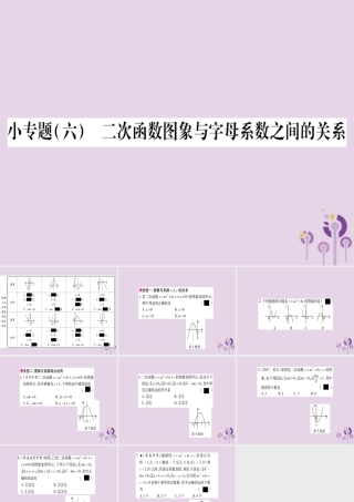 九年级数学上册 第二十二章 二次函数 222 二次函数与一元二次方程 小专题(六)二次函数图象与字母系数之间的关系作业课件 (新版)新人教版 课件