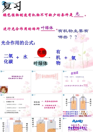 中学七年级生物上册 2.1.4 绿色植物的呼吸作用课件 (新版)济南版 课件
