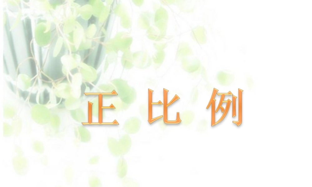 （北师大版）六年级数学下册课件正比例3