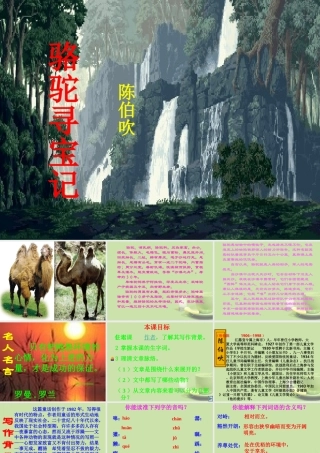 七年级语文下册 骆驼寻宝记课件2 语文版 课件