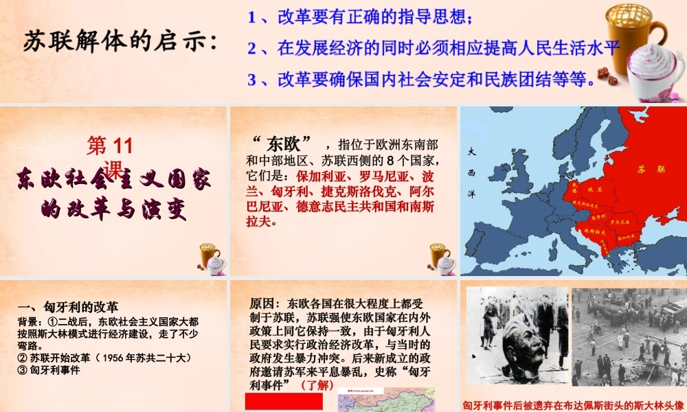 中学九年级历史下册 第11课 东欧社会主义国家的改革与演变课件 新人教版 课件