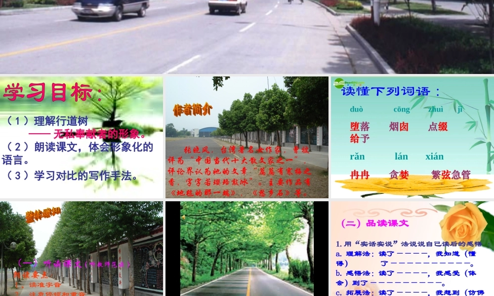 七年级语文上册 (行道树)教学课件 人教新课标版 课件