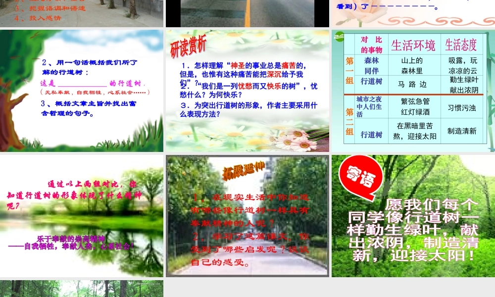 七年级语文上册 (行道树)教学课件 人教新课标版 课件