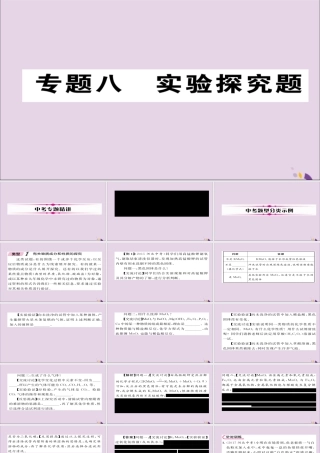 中考化学复习 第二编 重点题型突破篇 专题8 实验探究题(精讲)课件