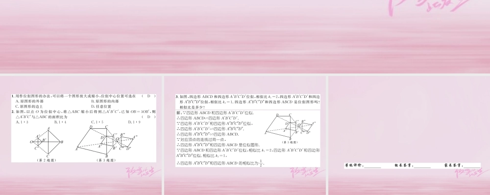 九年级数学上册 48 图形的位似 第1课时 位似图形的性质与位似图形练习课件 (新版)北师大版 课件