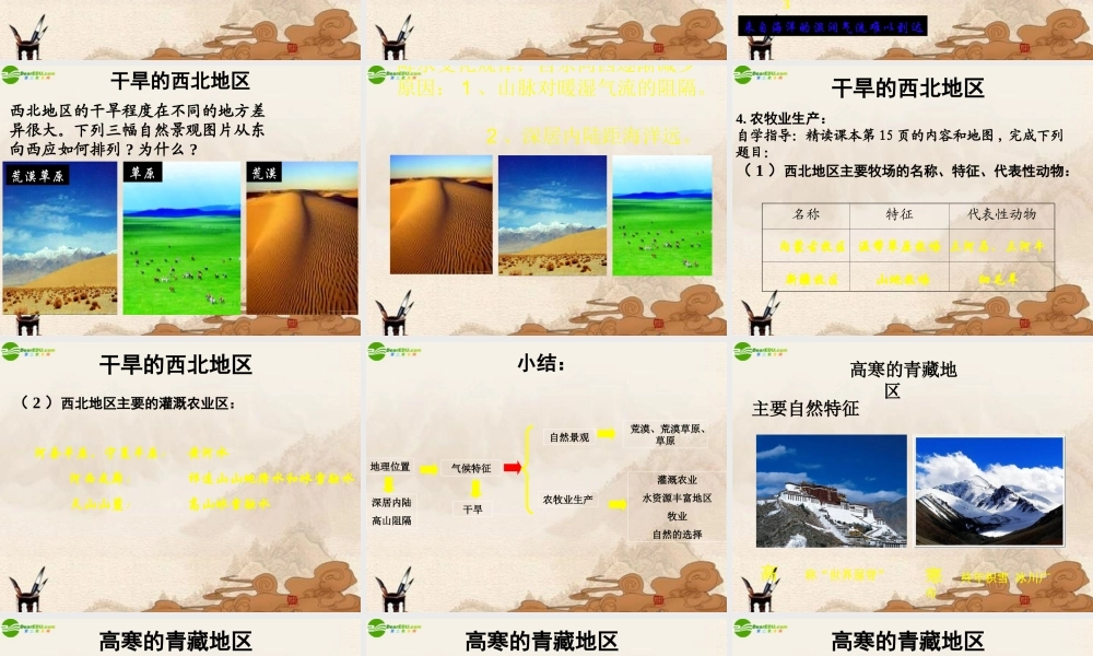 八年级地理下册 西北地区和青藏地区课件 人教新课标版 课件