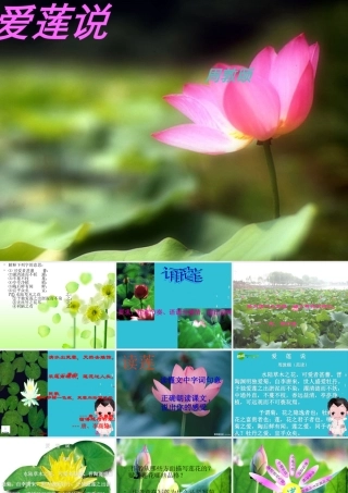 七年级语文上册 第26课(爱莲说)课件 鲁教版 课件
