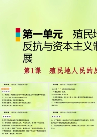 九年级历史下册 第一单元 殖民地人民的反抗与资本主义制度的扩展 第1课 殖民地人民的反抗斗争课件 新人教版 课件