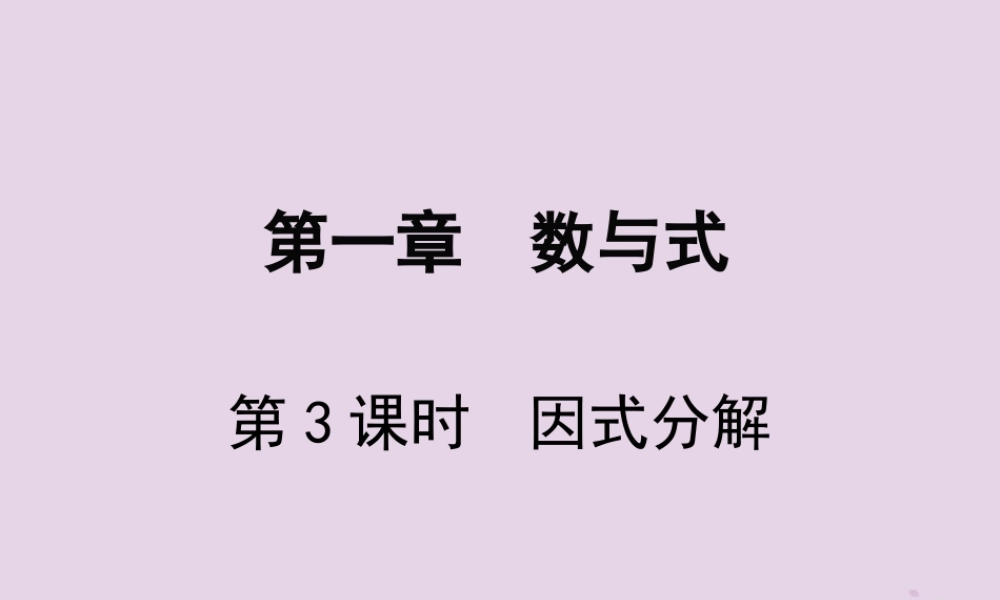 春中考数学复习 第1章 数与式 第3课时 因式分解课件