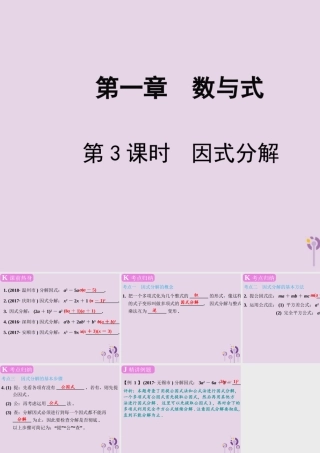 春中考数学复习 第1章 数与式 第3课时 因式分解课件
