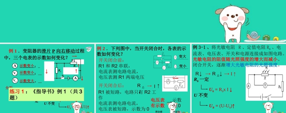 广东省深圳市中考物理专题复习 动态电路分析课件