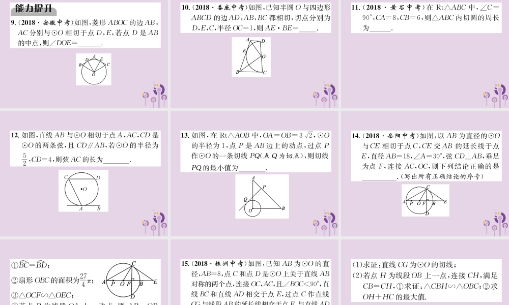中考数学总复习 第一部分 教材知识梳理 第7章 圆 第2节 点、直线与圆的位置关系(精练)课件