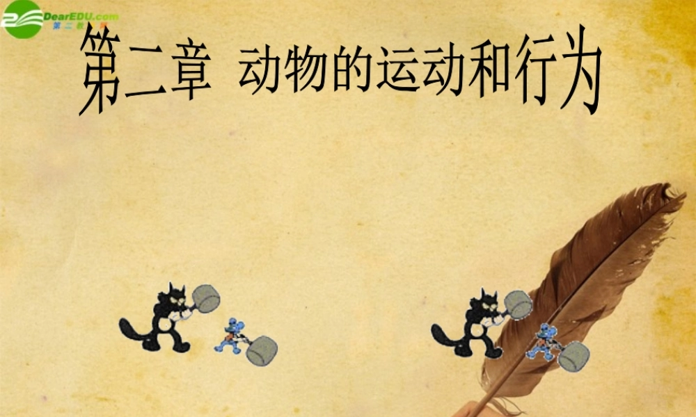 八年级生物上册 动物的运动和行为课件 人教新课标版 课件