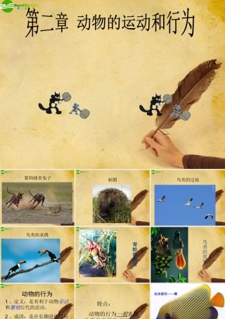 八年级生物上册 动物的运动和行为课件 人教新课标版 课件