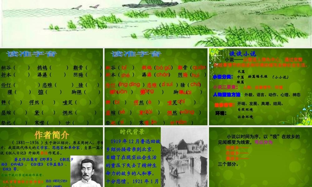 九年级语文上册(9 故乡)课件 新人教版 课件