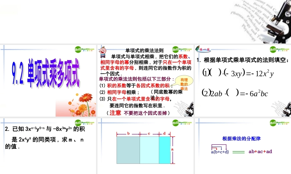七年级数学下册 92(单项式乘多项式)名师课件课件 苏科版 课件