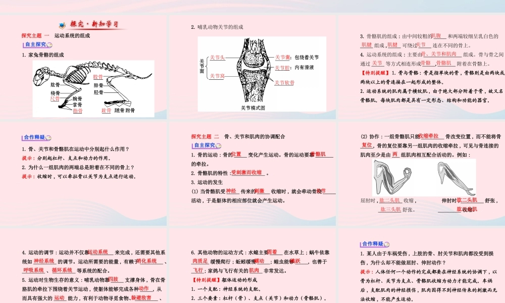 八年级生物上册 第五单元 第二章 第一节 动物的运动课件 (新版)新人教版 课件
