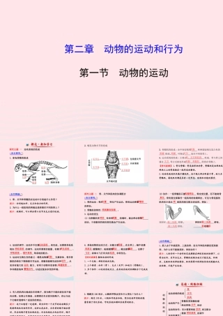八年级生物上册 第五单元 第二章 第一节 动物的运动课件 (新版)新人教版 课件