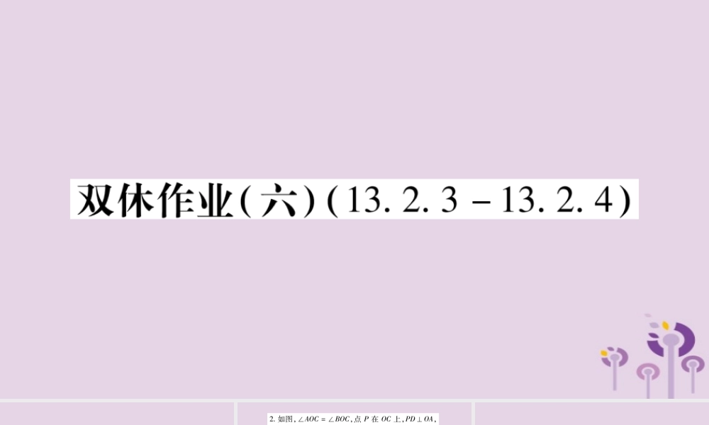 八年级数学上册 双休作业(六)课件 (新版)华东师大版 课件