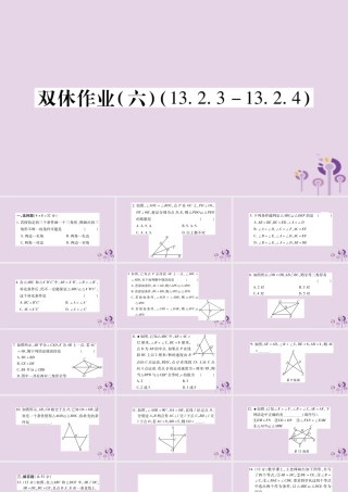 八年级数学上册 双休作业(六)课件 (新版)华东师大版 课件