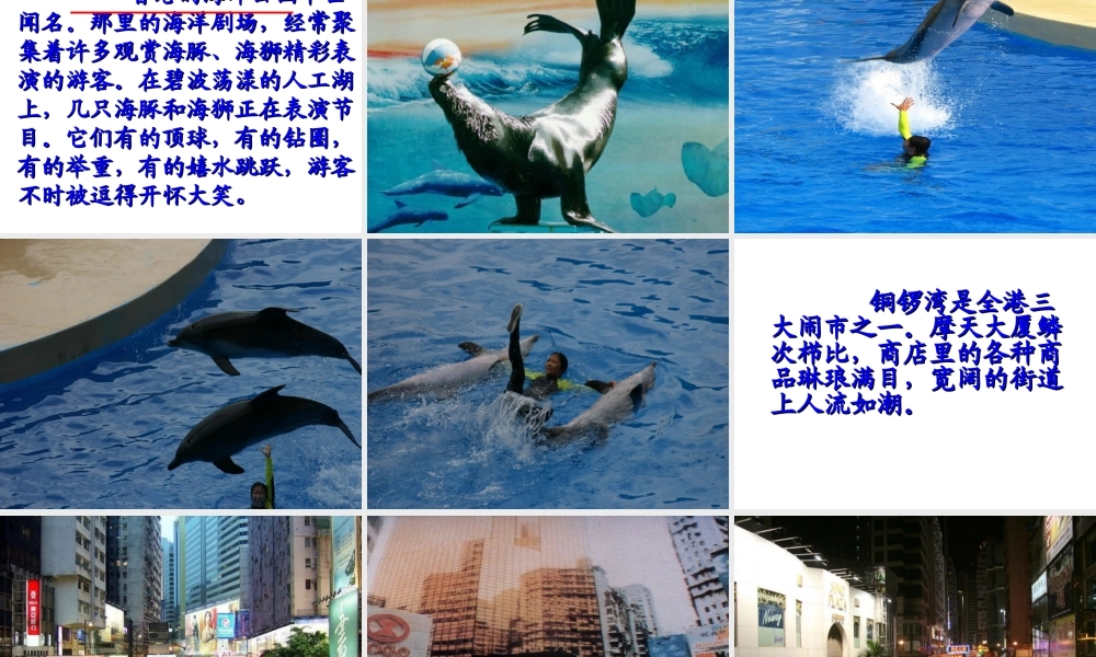 《东方之珠》教学课件