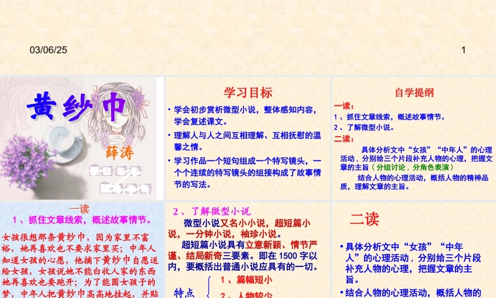 《黄纱巾》课件